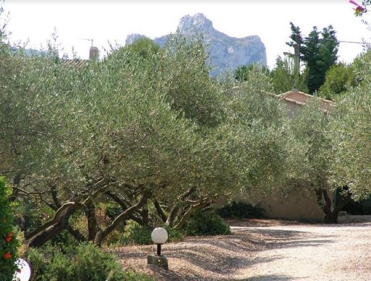 Le Mazet 40 Villa Saint-Rémy-de-Provence Exterior foto